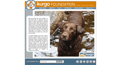 Desktop Screenshot of kurgofoundation.org
